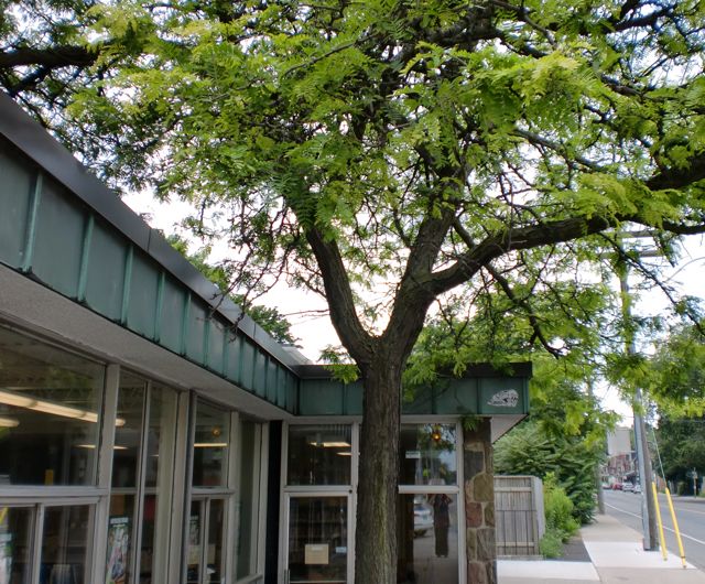 Jones Exterior with Tree