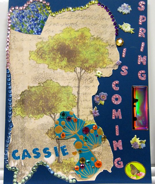 Cassie's Collage