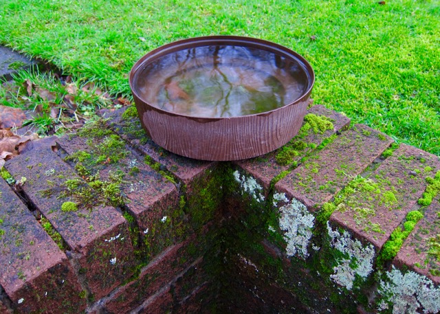 Garden Water Bowl, 2015